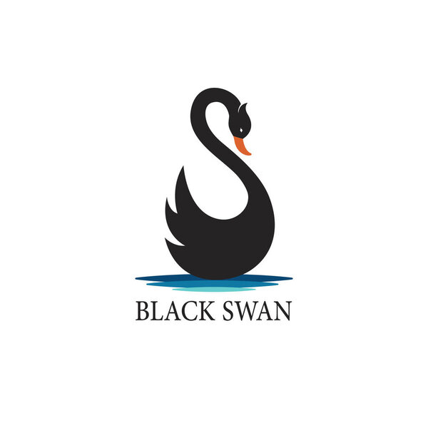 Vector of black swan design on white background. Wild Animals. 