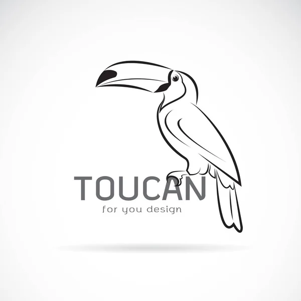 Vektor av toucan birb design på vit bakgrund. Vilda djur. — Stock vektor