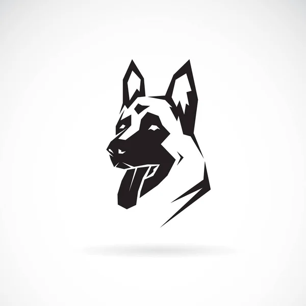 Vecteur de tête de chien (berger allemand) sur fond blanc. Animaux de compagnie . — Image vectorielle