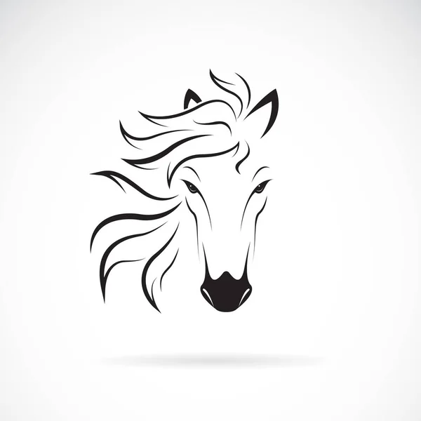 Vettore di un disegno testa di cavallo su sfondo bianco. Animali selvatici . — Vettoriale Stock