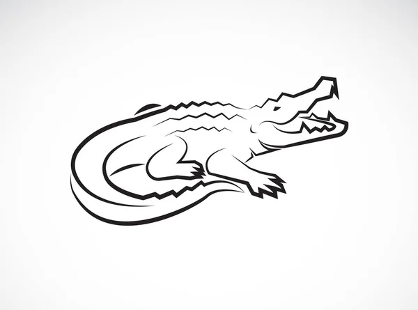 Vecteur de crocodile sur fond blanc. Animaux sauvages. — Image vectorielle