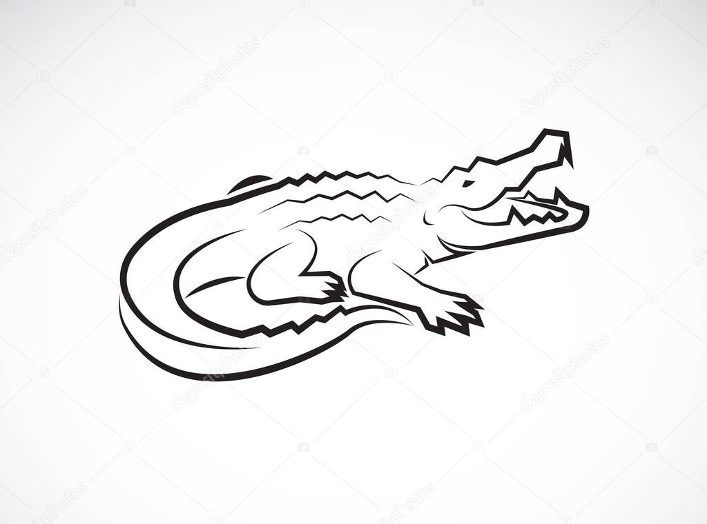 Vector of crocodile design on white background. Wild Animals. Reptile. Easy editable layered vector illustration.