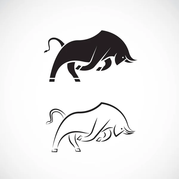 Vector de diseño de toro sobre fondo blanco. Animales salvajes . — Archivo Imágenes Vectoriales