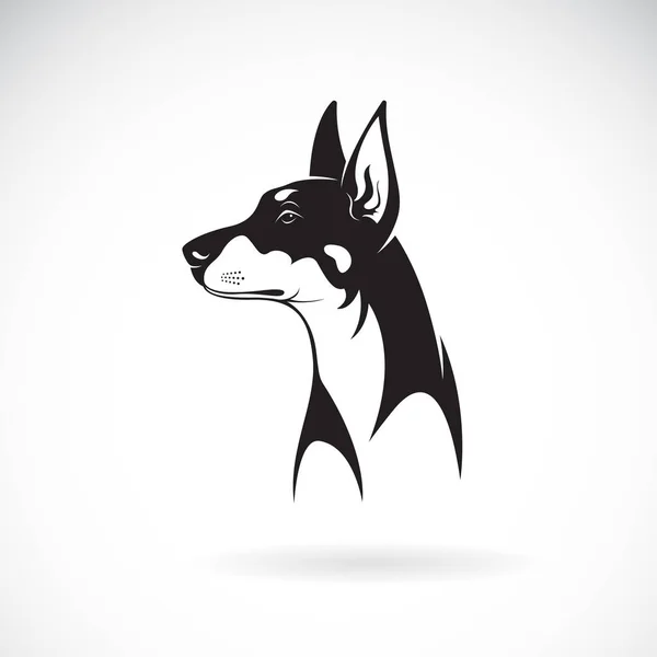 Vecteur d'une tête de chien (Grand Danois ou Mastiff allemand. Animaux de compagnie . — Image vectorielle