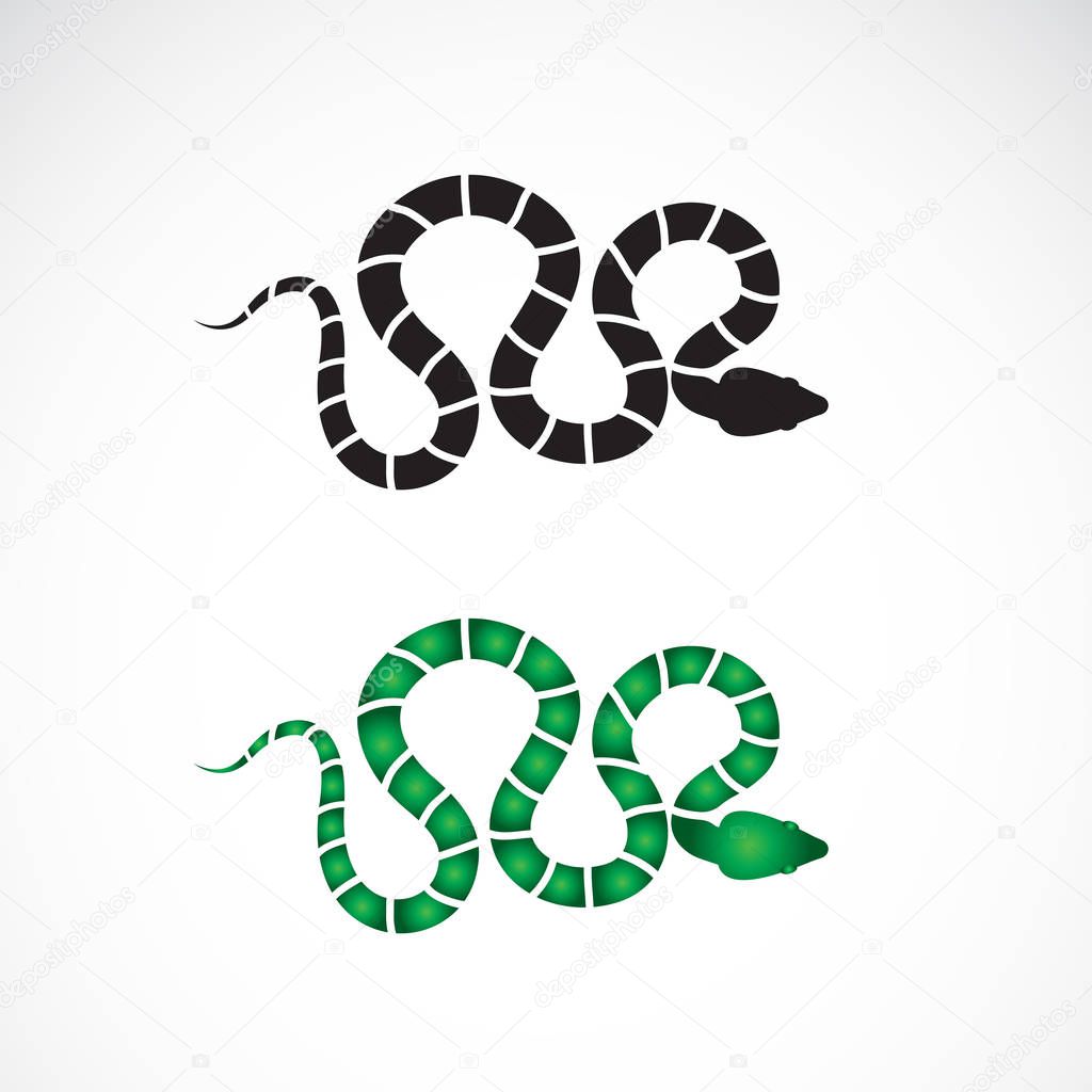 Vector of snake design on white background. Animals. Reptile. Snakes logo or icon. Easy editable layered vector illustration.