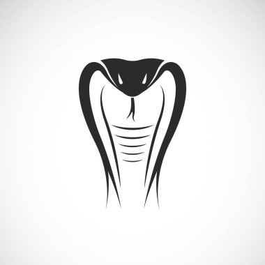 Beyaz arka planda yılan kafası tasarımı taşıyıcısı. Hayvanlar.