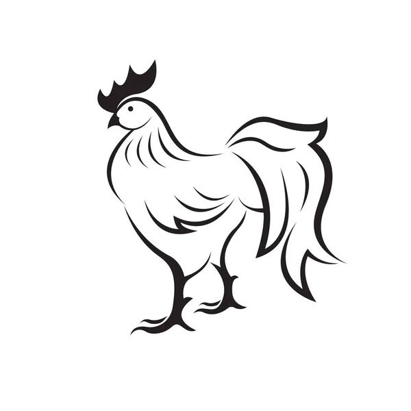 Vector de gallo o polla sobre fondo blanco. Granja animal . — Archivo Imágenes Vectoriales