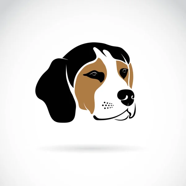 Vector of beagle dog head on white background., Pet. Animals. — Stock Vector