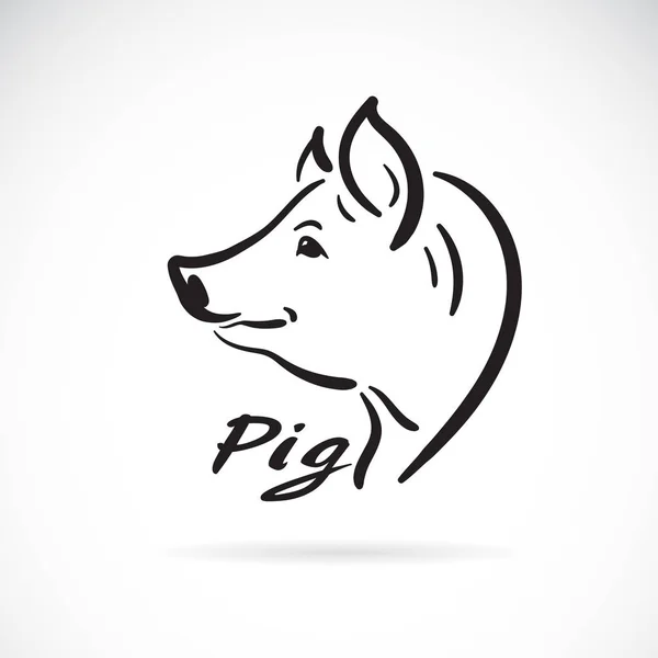 Vektor Freehand Prasečí Hlavy Malování Bílém Pozadí Farmářská Zvířata Logo — Stockový vektor