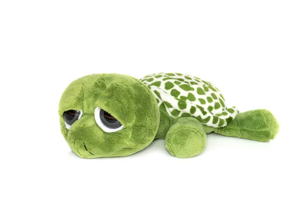 Bild Der Grünen Schildkrötenpuppe Isoliert Auf Weißem Hintergrund Tierpuppen — Stockfoto