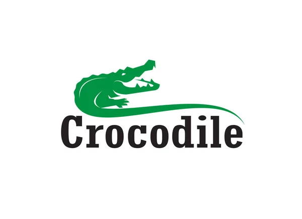 Vector Crocodile Design Letters White Background Wild Animals Reptile Easy — Stock Vector