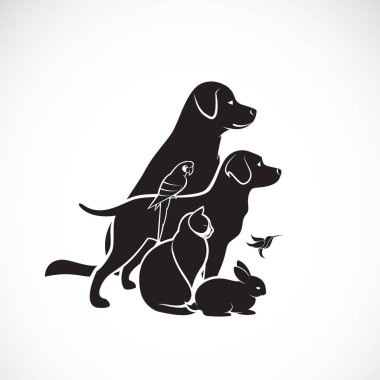 Köpek, kedi, vızıldayan kuş, papağan, beyaz arka planda izole edilmiş tavşan. Evcil hayvan simgesi ya da logosu, kolay düzenlenebilir vektör illüstrasyonu.