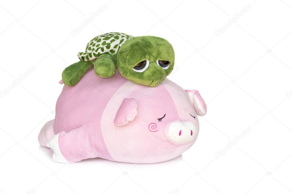 Image of turtle doll on the back pig doll isolated on white background. Animal dolls.