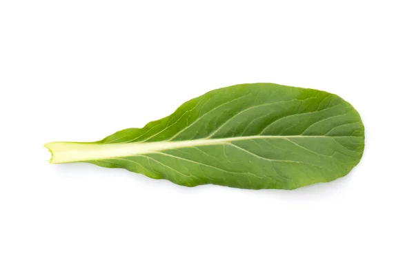 Imagen Hoja Verde Mostaza Hoja Sobre Fondo Blanco Naturaleza — Foto de Stock