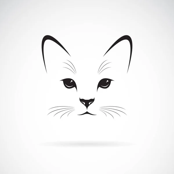 Vetor Desenho Cara Gato Fundo Branco Pet Animais Ilustração Vetorial — Vetor de Stock