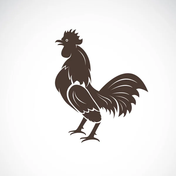 白い背景に鶏やコックデザインのベクトル 農場動物 鶏のロゴやアイコン 編集しやすいレイヤーベクトルイラスト — ストックベクタ