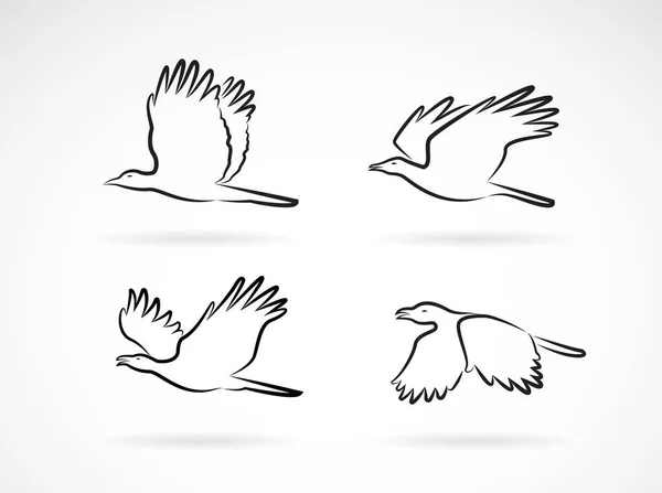 Beyaz Arka Planda Uçan Karga Grubu Kuşlar Hayvanlar Kolay Düzenlenebilir — Stok Vektör