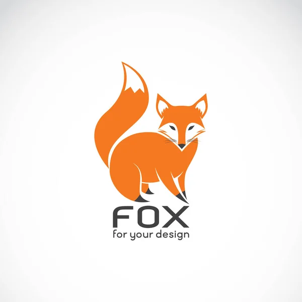 Vettore Disegno Volpe Sfondo Bianco Animali Selvatici Loghi Icone Fox — Vettoriale Stock