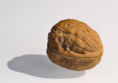 bir büyük kuru fındık