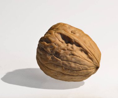 bir büyük kuru fındık