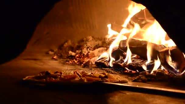 Піца готується в духовці — стокове відео