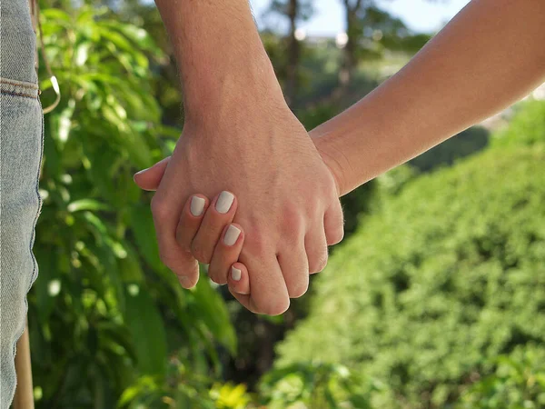 Persons Hands Holding Each Other Green Yard Background — Stock Photo, Image