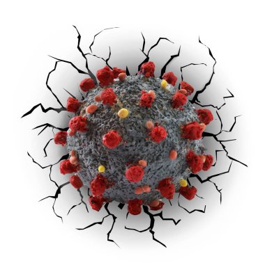Coronavirus duvara çarpıyor..
