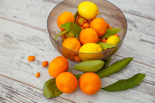 Tyrkiske citrusfrugter close-up - Stock-foto
