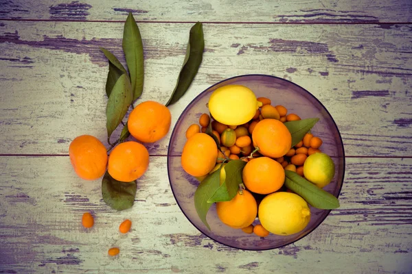 Citrusvruchten weergave van bovenaf — Stockfoto