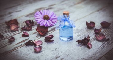 Köln ve tonda kuru çiçekler