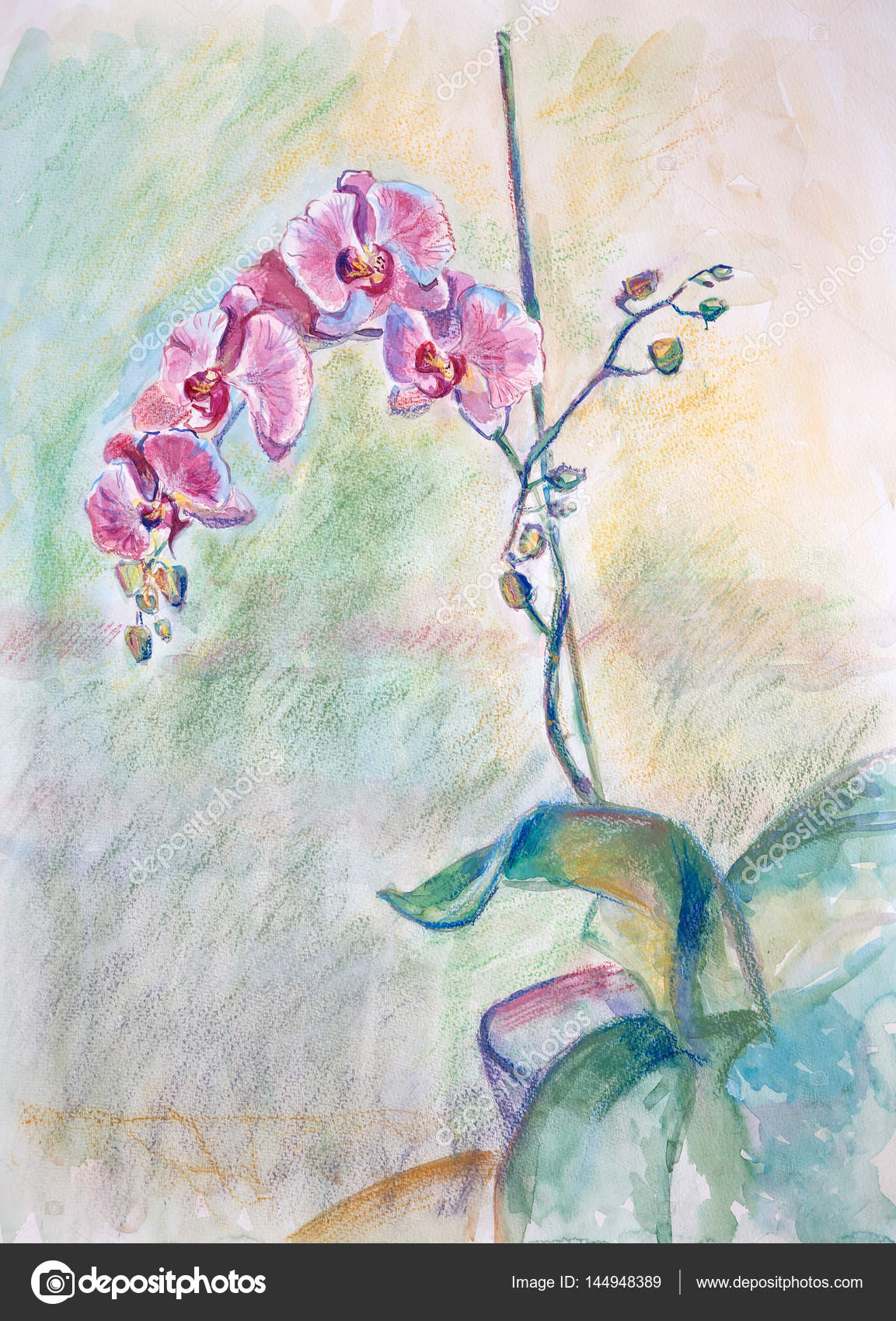 Nature Morte Avec Orchidées Doucement Roses Photographie