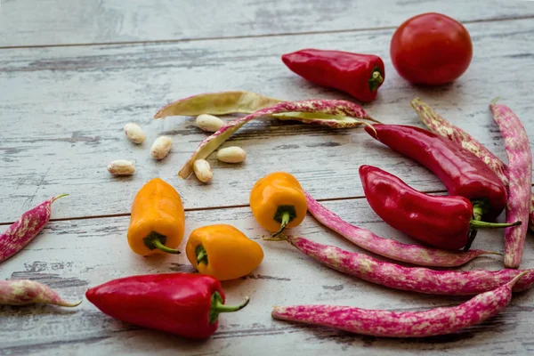 Frisches Gemüse der Saison — Stockfoto