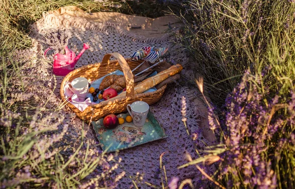 Picnic in the lavender field. Tablecloth, basket, flowers, fruits, dishes and bread 