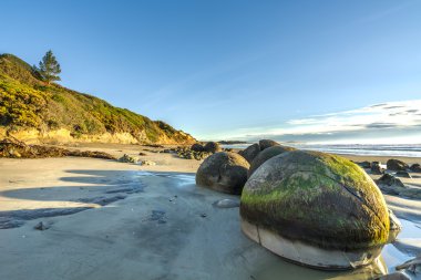 Moeraki kayası büyük taş, Yeni Zelanda