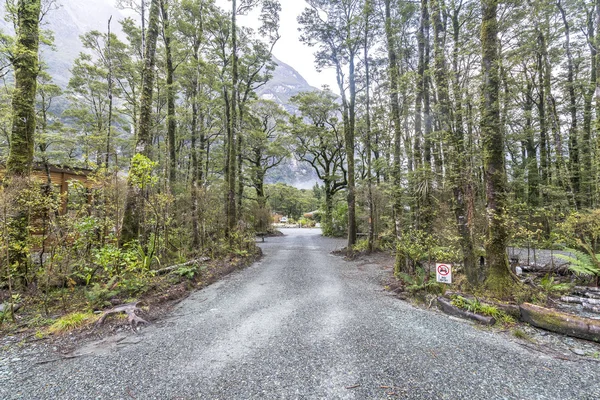 Accesso Campeggio Milford Sound Nuova Zelanda — Foto Stock