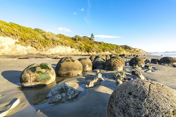 Grande Pierre Rocher Moeraki Nouvelle Zélande — Photo