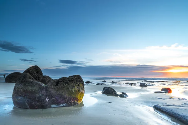 Moeraki kayası büyük taş, Yeni Zelanda