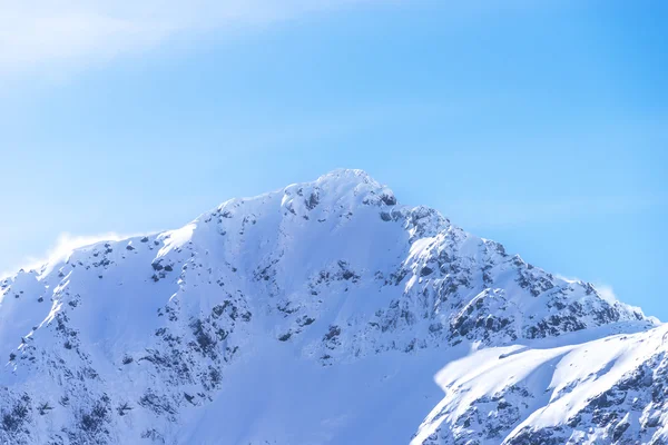 Topp Berg Täckta Med Snö Sydliga Alperna Nya Zeeland Stockbild