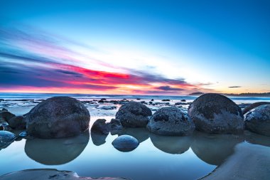 Moeraki kayası büyük taş, Yeni Zelanda