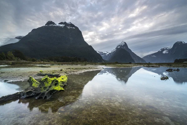 Salida Del Sol Reflexión Mitre Peak Milford Sound Parque Nacional —  Fotos de Stock