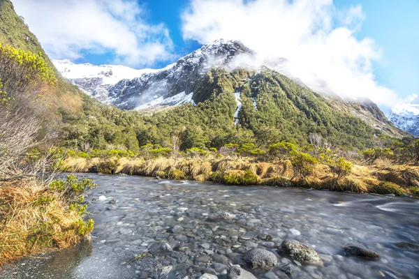 Vattenströmmen Med Snö Berg Monkey Creek Nya Zeeland — Stockfoto