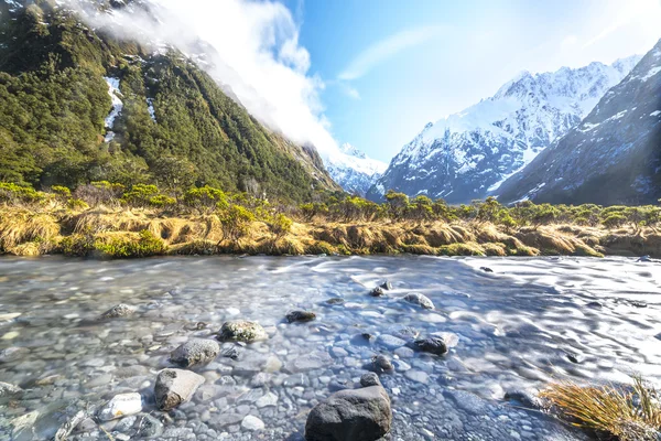 Wasserbach Mit Schneeberg Affenbach Neuseeland — Stockfoto