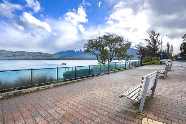 Uma Fileira Brench Madeira Frente Lago Anau Nova Zelândia — Fotografia de Stock