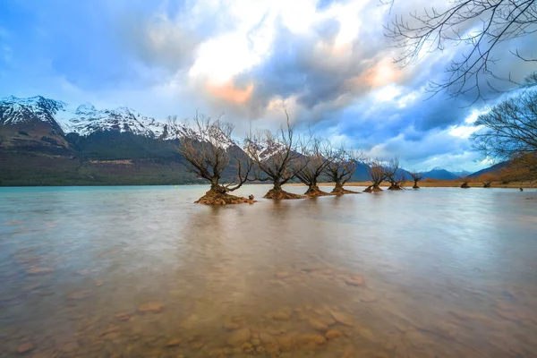 Jezero se stromem — Stock fotografie