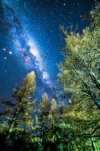 Cielo della Via Lattea — Foto Stock
