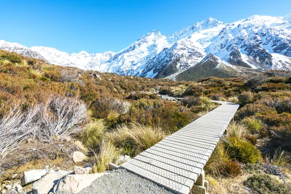Track to mount cook — Stock Photo, Image
