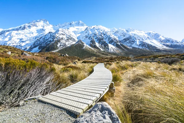 Track to mount cook — Stock Photo, Image