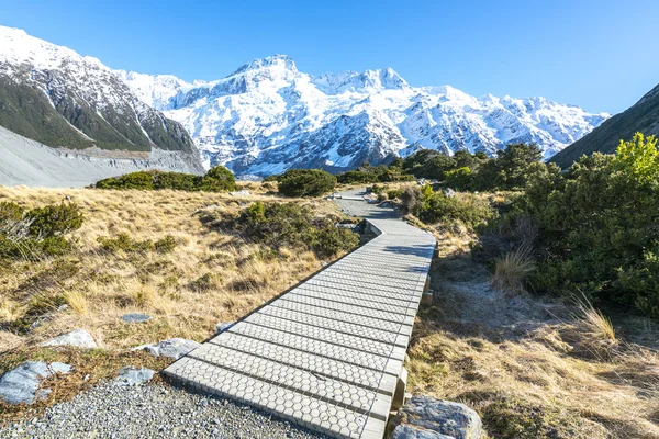 Spår till mount cook — Stockfoto