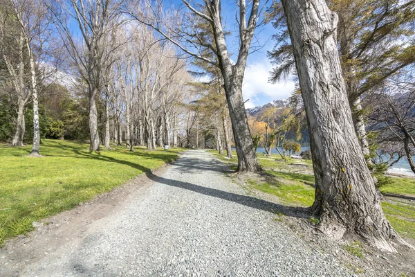 Jogging Strecke Mit Natur Morgensonne Lake Wanaka New Zealan — Stockfoto