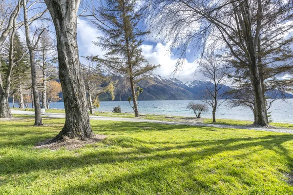 Döda Träd Trädgård Park — Stockfoto